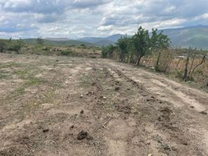 Terreno en Venta en La Cañada Ocuilán