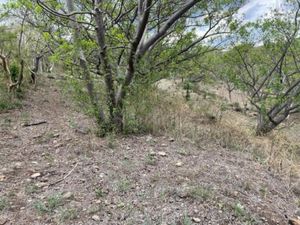 Terreno en Venta en La Cañada Ocuilán