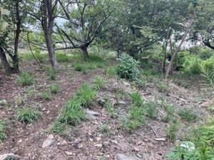 Terreno en Venta en La Cañada Ocuilán