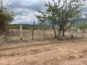 Terreno en Venta en La Cañada Ocuilán