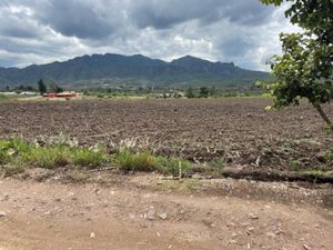 Terreno en Venta en La Cañada Ocuilán