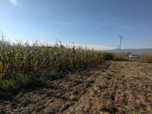 Terreno en Venta en Techichilco Cocotitlán