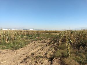 Terreno en Venta en Techichilco Cocotitlán