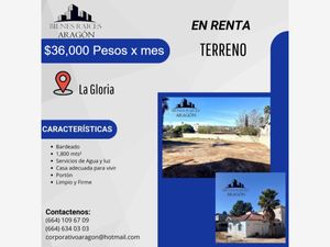 Terreno en Renta en La Gloria Tijuana