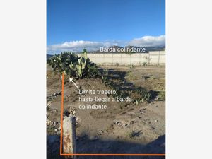 Terreno en Venta en San Juan Tilcuautla San Agustín Tlaxiaca