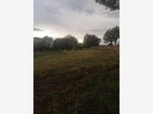 Terreno en Venta en 1ra San Bartolomé Matlalohcan Tetla de la Solidaridad