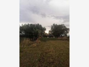 Terreno en Venta en 1ra San Bartolomé Matlalohcan Tetla de la Solidaridad