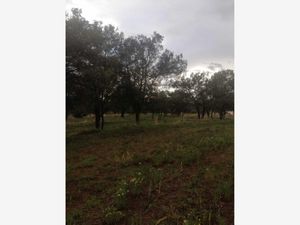 Terreno en Venta en 1ra San Bartolomé Matlalohcan Tetla de la Solidaridad