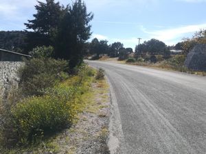 Terreno en Venta en La Estanzuela Mineral del Chico