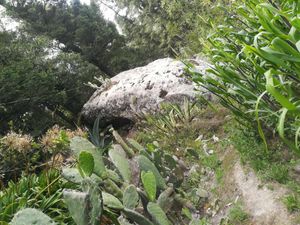 Terreno en Venta en Carboneras Mineral del Chico