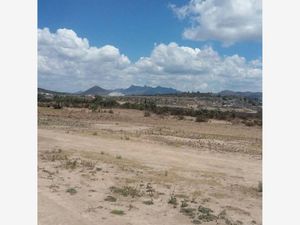 Terreno en Venta en Santiago Tlapacoya Centro Pachuca de Soto