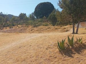 Terreno en Venta en La Estanzuela Mineral del Chico