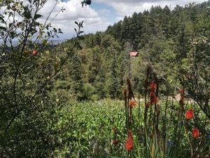 Terreno en Venta en Carboneras Mineral del Chico