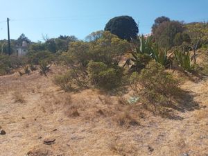 Terreno en Venta en La Estanzuela Mineral del Chico