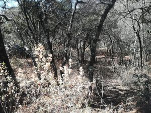 Terreno en Venta en La Estanzuela Mineral del Chico