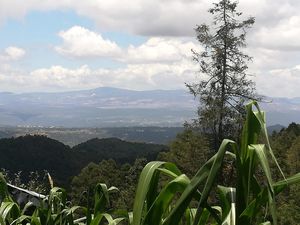 Terreno en Venta en Carboneras Mineral del Chico