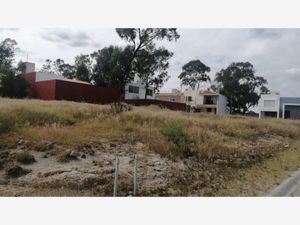 Terreno en Venta en Álamos Haras Puebla