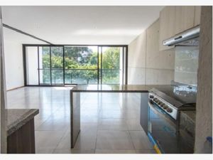 Departamento en Venta en General Pedro María Anaya Benito Juárez