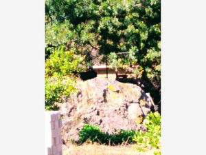 Terreno en Venta en Amatlán de Quetzalcóatl Tepoztlán