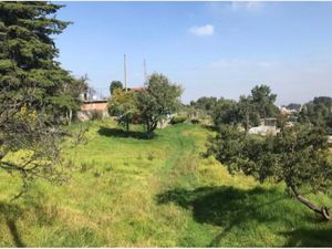 Terreno en Venta en Santa Cecilia Tepetlapa Xochimilco