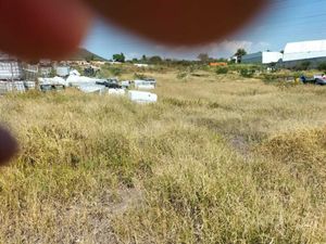 Terreno en Venta en Capricho Apaseo El Grande