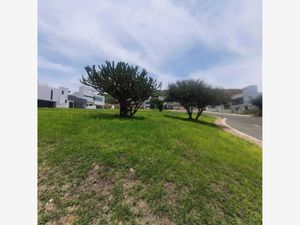 Terreno en Venta en Punta Esmeralda Corregidora