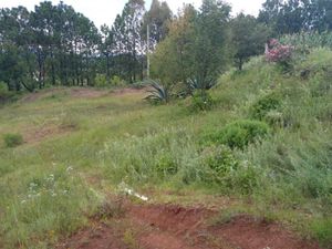 Terreno en Venta en San Pablo Amealco de Bonfil