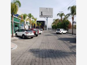 Local en Renta en Jurica Querétaro