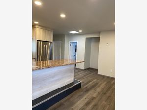 Departamento en Renta en Nueva Aurora Tijuana