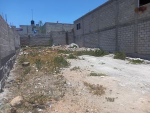Terreno en Venta en La Peña Mixquiahuala de Juárez