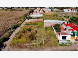 Terreno en Venta en Centro Unión de Tula Unión de Tula