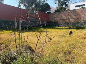 Terreno en Venta en Jardines del Pedregal de San Angel Coyoacán