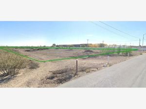 Terreno en Venta en El Perú Torreón