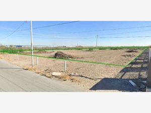 Terreno en Venta en El Perú Torreón