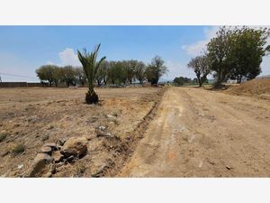 Terreno en Venta en San Luis Tehuiloyocan San Andrés Cholula