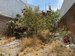 Terreno en Renta en La Paz Puebla