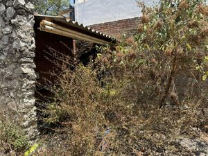 Terreno en Renta en La Paz Puebla