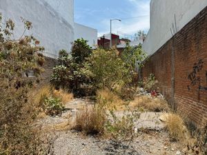 Terreno en Renta en La Paz Puebla