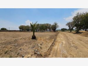 Terreno en Venta en San Luis Tehuiloyocan San Andrés Cholula