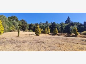 Terreno en Venta en Santo Tomas Ajusco Tlalpan