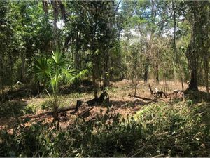 Terreno en Venta en Puerto Morelos Puerto Morelos