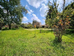 Terreno en Venta en Ocho Cedros Toluca