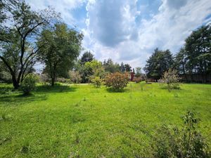 Terreno en Venta en Ocho Cedros Toluca