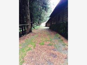 Finca/Rancho en Venta en Santo Tomas Ajusco Tlalpan