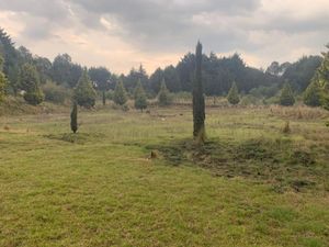 Terreno en Venta en Santo Tomas Ajusco Tlalpan