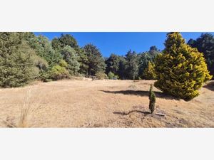 Terreno en Venta en Santo Tomas Ajusco Tlalpan