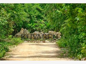 Terreno en Venta en Tulum Centro Tulum