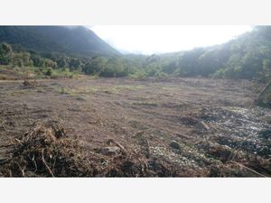 Terreno en Venta en El Ahuacate Tepic