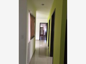 Departamento en Renta en Versalles Sur Tepic