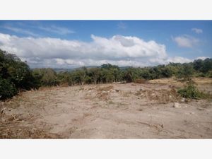 Terreno en Venta en El Ahuacate Tepic